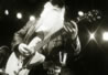 REDWOOD